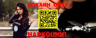 кокс Гатчина
