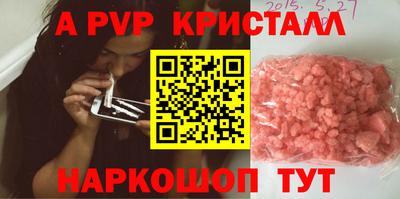 кокс Гатчина