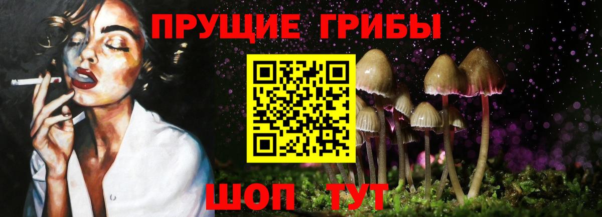 Галлюциногенные грибы Psilocybine cubensis Мценск
